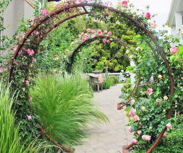 What to Do With an Old Trampoline: Reuse, Recycle, or Replace It - Aotob